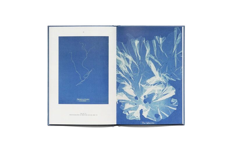 Anna Atkins: Blue Prints - Anna Atkins | moom bookshop - art books and magazines