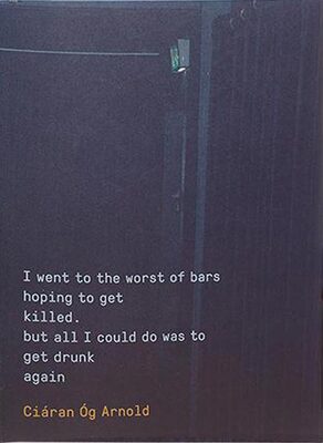 I went to the worst of bars hoping to get killed. but all I could do was to get drunk again (9781910164310)