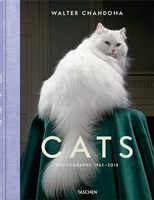 Walter Chandoha. Cats. Photographs 1942–2018 (9783836573856)