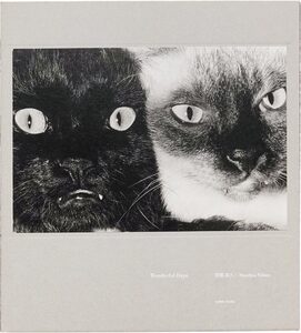 Wonderful Days（Special Edition）/ 深瀬昌久 Wonderful Days (特別版) - 深瀨昌久| moom bookshop - 藝術書籍與雜誌