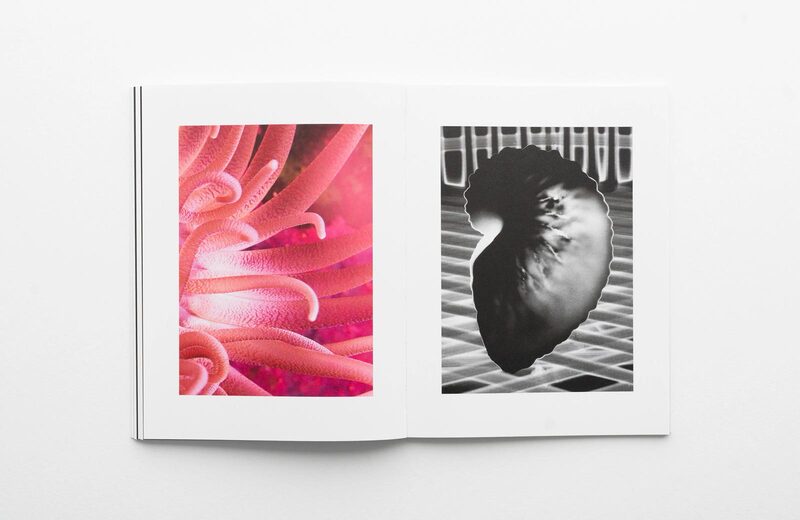 Water Column - Taiyo Onorato, Nico Krebs | moom bookshop - art