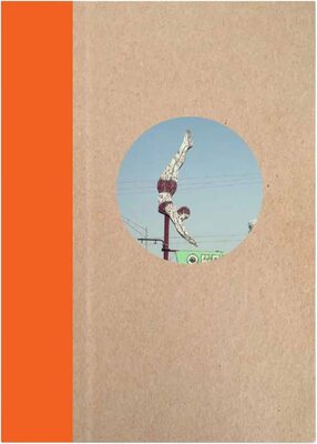 One Picture Book Two #50: Plywood Signs (9781590056264)