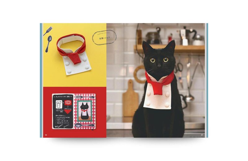 The Black Cat and the Collar - Akiko Kino | moom bookshop - art