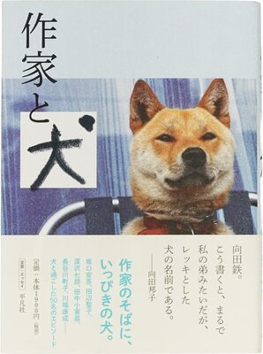 作家と犬 (9784582747126)
