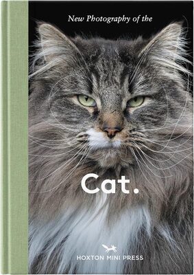 New photography of the Cat. (9781914314940)