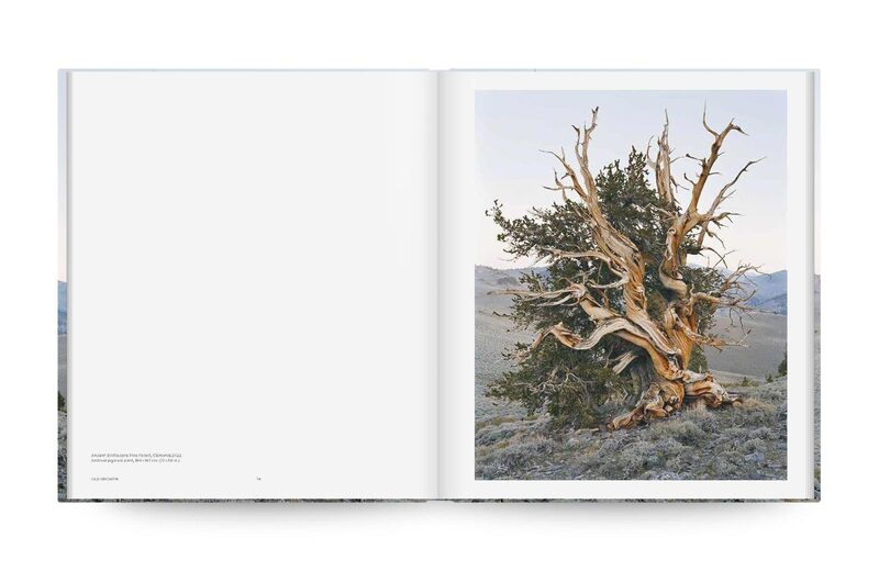 Mitch Epstein: American Nature - Mitch Epstein | moom bookshop