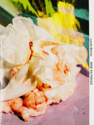 Mise en Pièces (9789493146679)