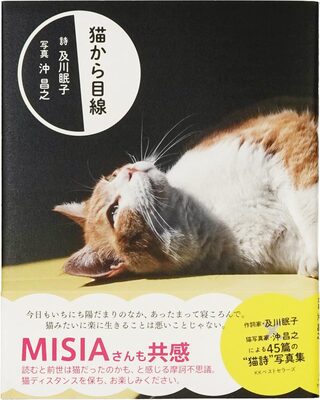 From a Cats Point of View (9784584139677)