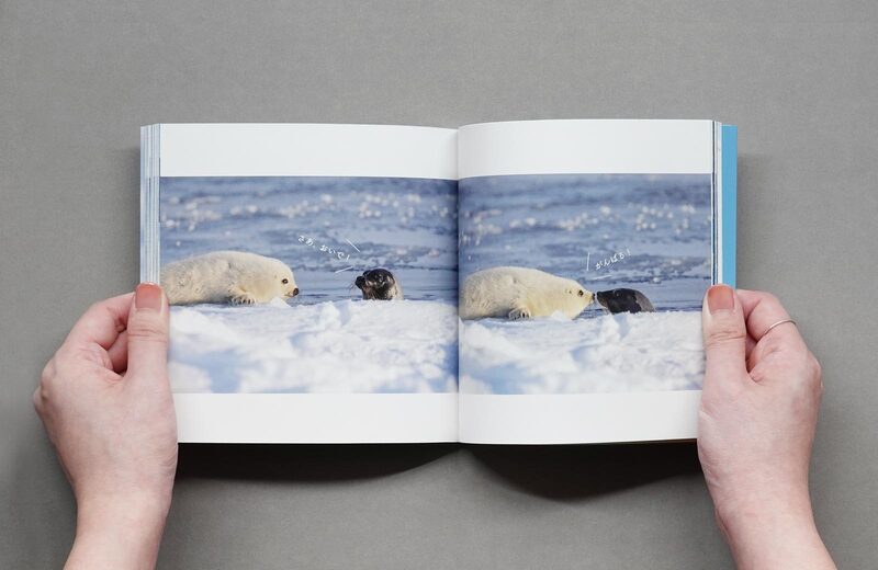 Azarashi No Akachan Kawaii No Himitsu - Rei Ohara | moom bookshop