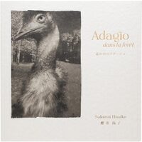 Adagio dans la forêt (9784909883773)