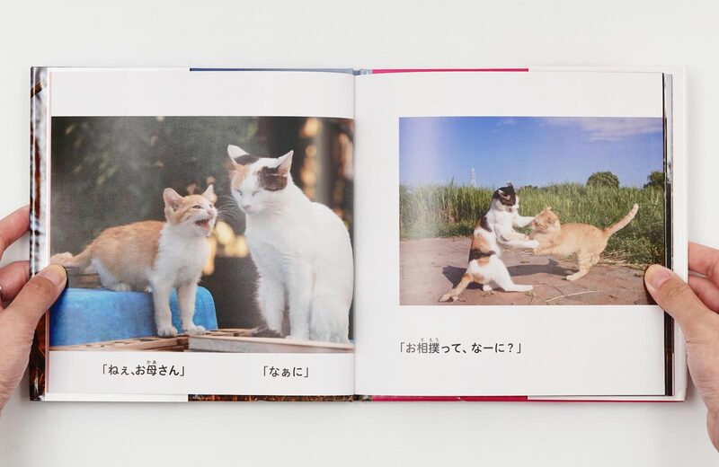 粟田尚子　祥瑞四君子大熊猫盃 沖昌之の写真絵本①：にゃんこ相撲〈下町編〉 - 沖昌之| moom bookshop