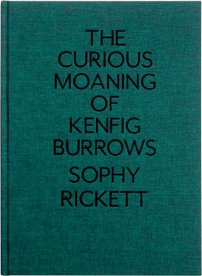 The Curious Moaning of Kenfig Burrows (9781910401309)