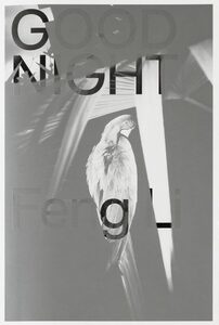 Feng Li - Feng Li | moom bookshop - art books and magazines