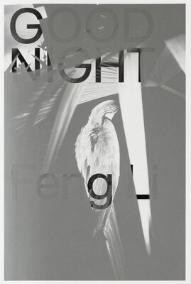 Good Night (9784909442291)