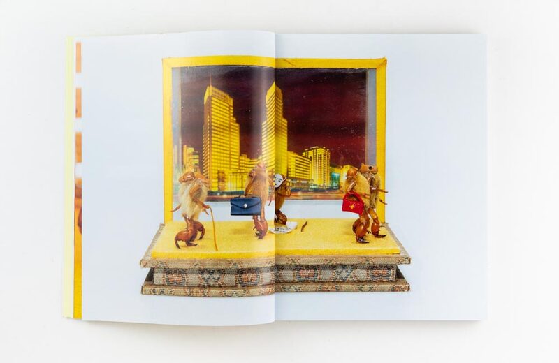 The Art of the Hairy Monkey - Simon Wald-Lasowski | moom bookshop