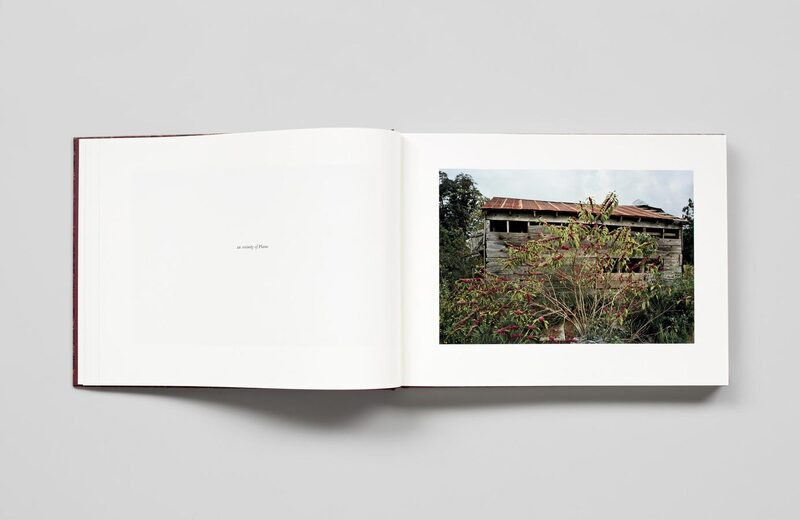 Election Eve - William Eggleston | moom bookshop - art books and