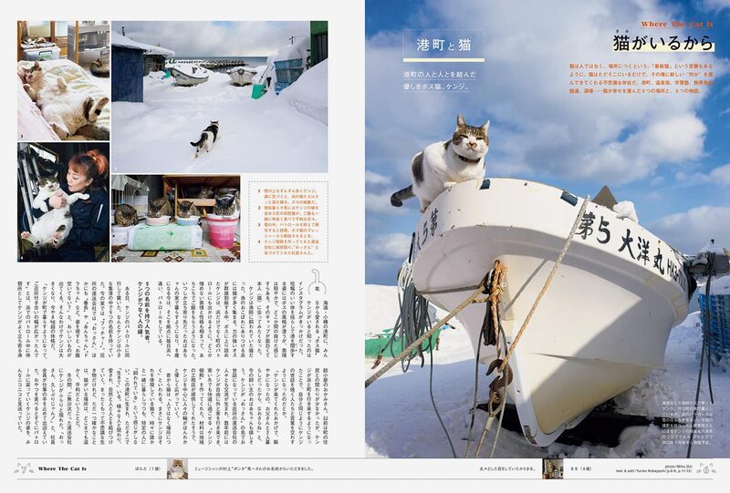 BRUTUS extra issue Because of Cats | moom bookshop - art books and