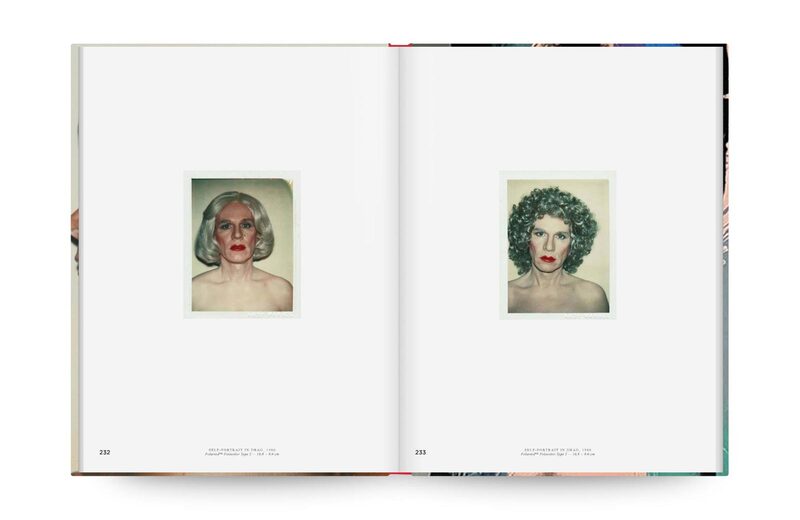 Andy Warhol: Velvet Rage and Beauty - Andy Warhol, Klaus