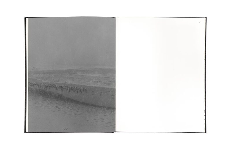 Des Oiseaux - Byung-hun Min - Byung-Hun Min | moom bookshop