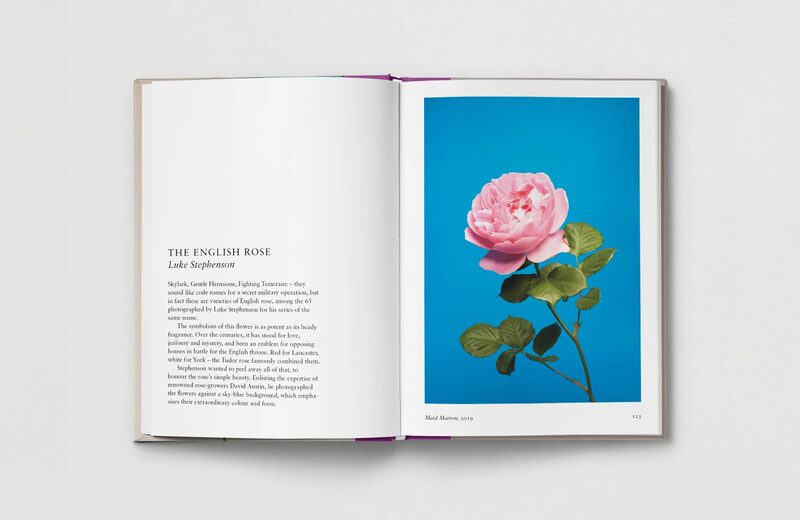 Flower. | moom bookshop - art books and magazines