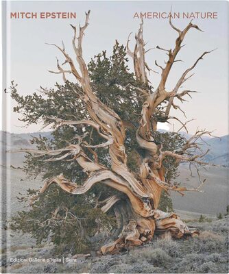 Mitch Epstein: American Nature (9788857253121)