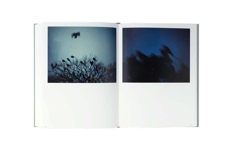 MASAHISA FUKASE (Japanese Edition) - Masahisa Fukase | moom