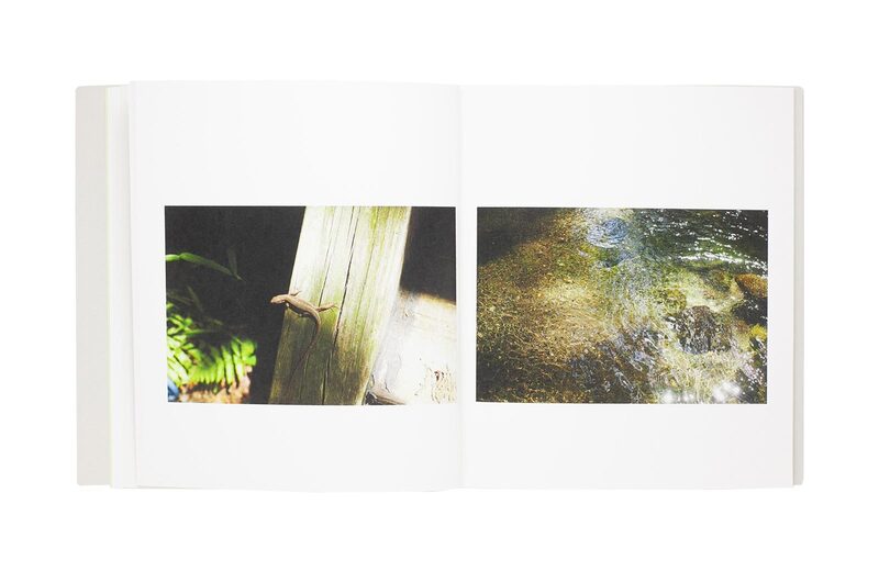 Harutonari - Miho Suzuki | moom bookshop - art books and magazines
