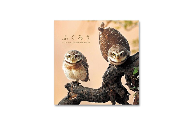 Beautiful Owls In The World | moom bookshop - art books and magazines