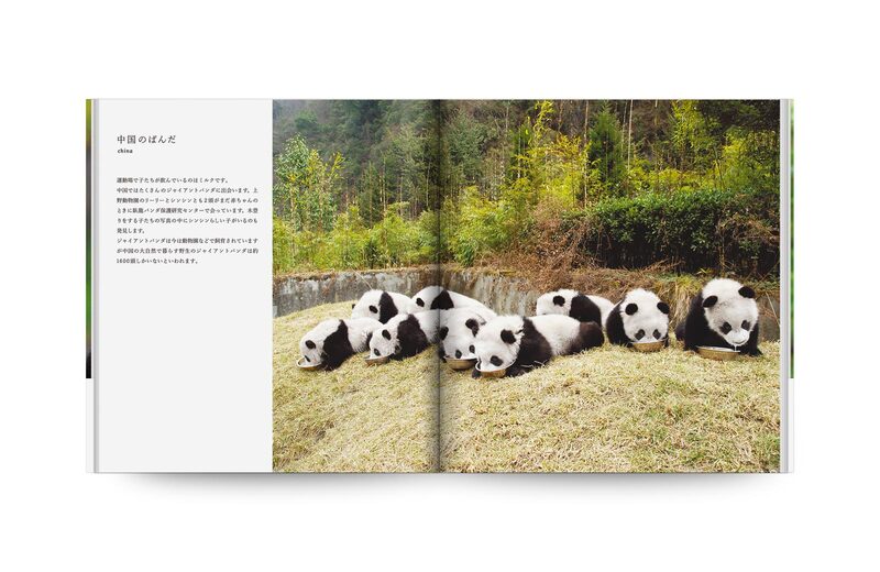 Panda - Mitsuaki Iwago | moom bookshop - art books and magazines