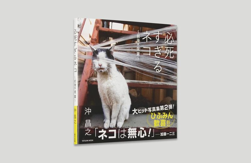 必死すぎるネコ:前後不覚篇- 沖昌之| moom bookshop - 藝術書籍與雜誌 必死すぎるネコ:前後不覚篇- 沖昌之| moom bookshop - 藝術書籍與雜誌