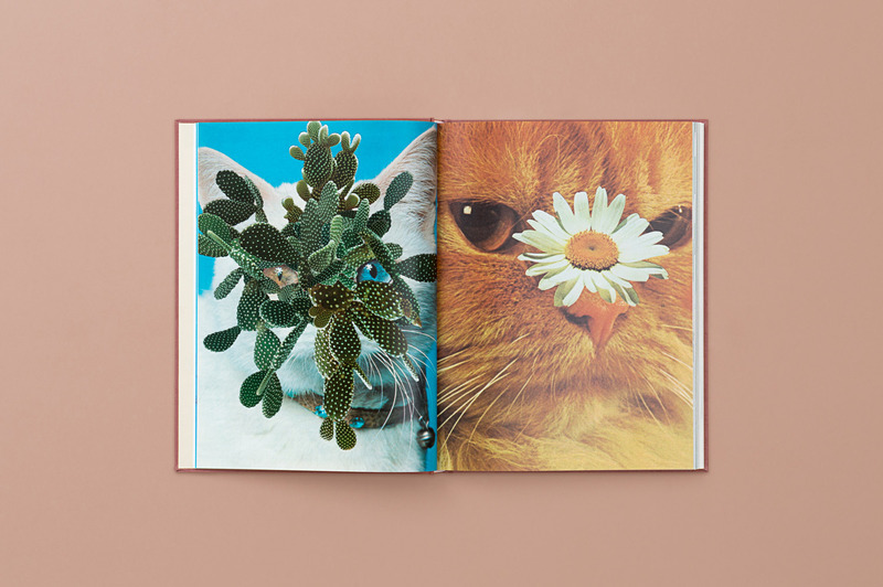 Cats & Plants - Stephen Eichhorn | moom bookshop