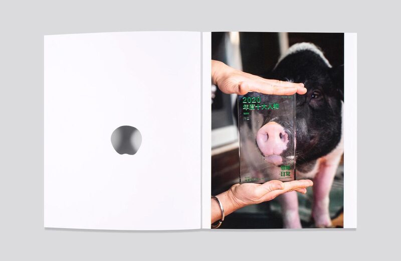 PIG - Feng Li | moom bookshop - art books and magazines