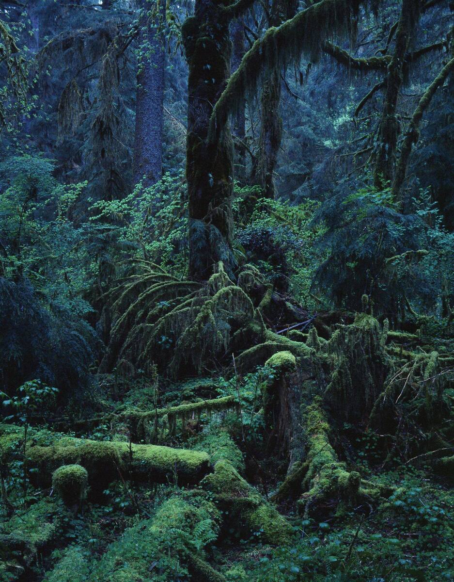 About Yoshihiko Ueda | moom bookshop - art books and magazines
