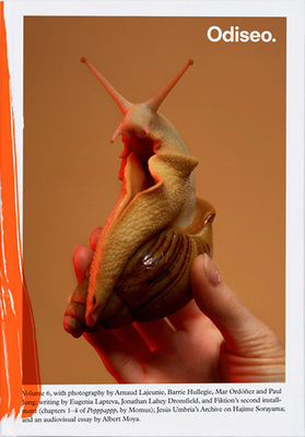 Odiseo 6: Nature and artifice