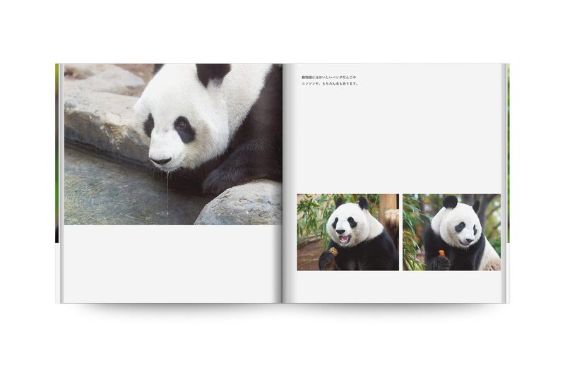 パンダページ Panda - Mitsuaki Iwago | moom bookshop - art books and magazines
