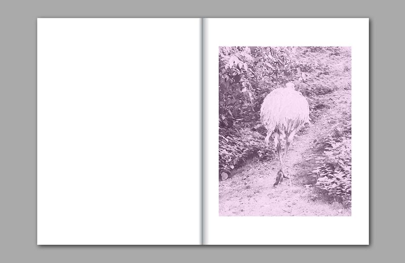Counting Till Ten - Isabelle Wenzel | moom bookshop