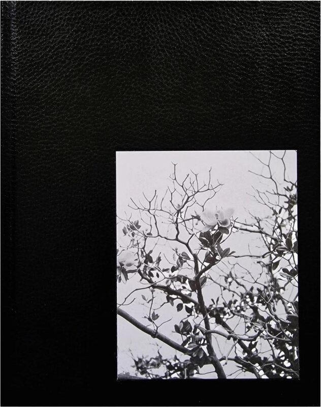 Migration Patterns (9781915652256)