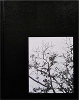 Migration Patterns (9781915652256)