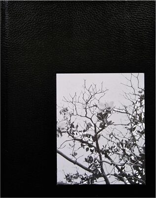 Migration Patterns (9781915652256)