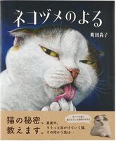 A Night with Cat Stacks (9784265831036)