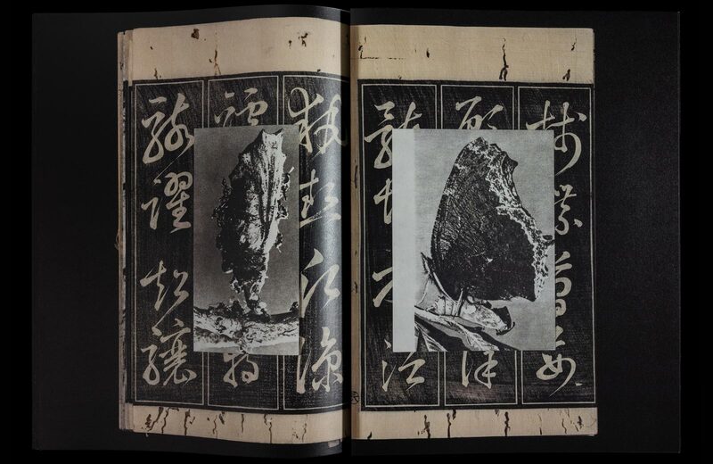 Dead Pages No.5 Parasites - Magdalena Wysocka, Claudio Pogo | moom