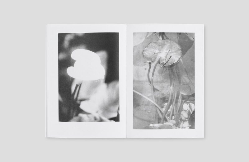 Local Ecology. Moulin des Ribes - Jochen Lempert | moom bookshop