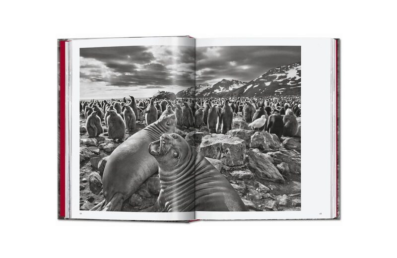 Sebastião Salgado. Genesis - Sebastião Salgado | moom bookshop