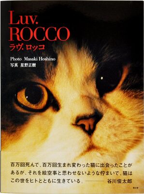 ラヴ・ロッコ (9784861526978)