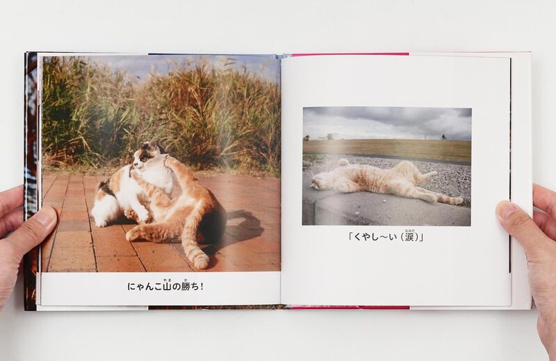 粟田尚子　祥瑞四君子大熊猫盃 沖昌之の写真絵本①：にゃんこ相撲〈下町編〉 - 沖昌之| moom bookshop