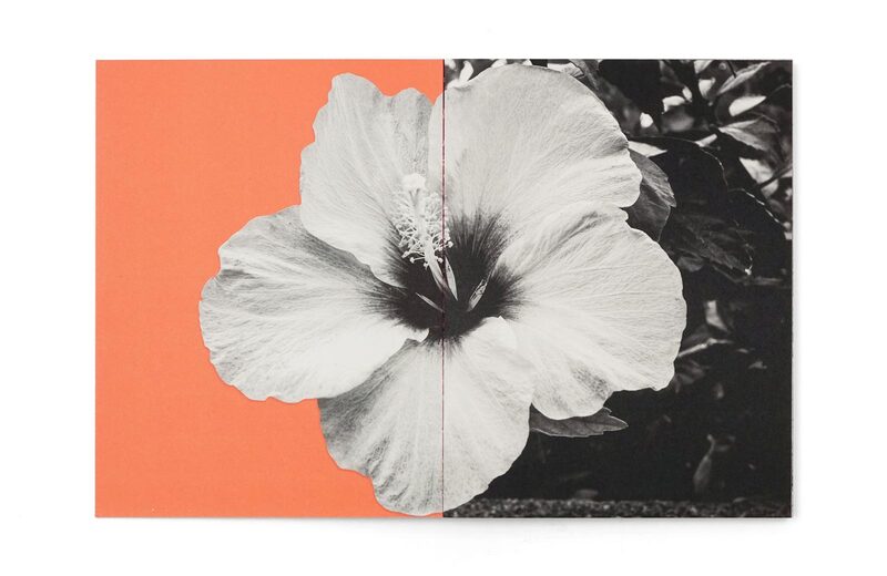 Okinawa Mon Amour - Chloé Jafé | moom bookshop - art books and