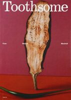Toothsome Magazine Issue 02: From Minimal to Maximal (9772978613001)