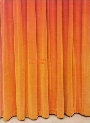 Martine Syms: Pictures, 2014-2024 (9781399991704)