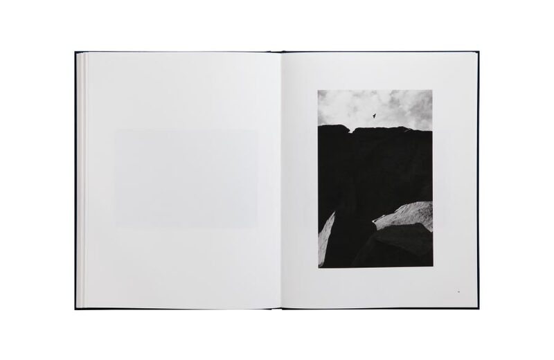 Des Oiseaux - Bernard Plossu - Bernard Plossu | moom bookshop