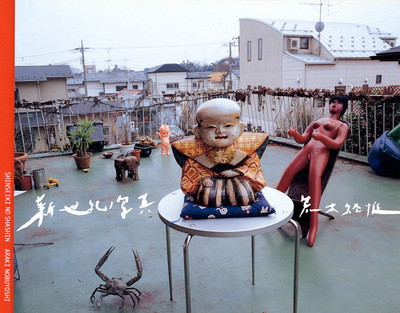 SHINSEIKI NO SHASHIN